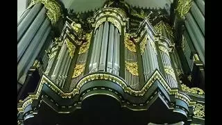 Martini Church - Organist