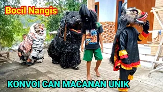 Seru...konvoi can macanan singo Raung cilik bikin bocil nangis ketakutan