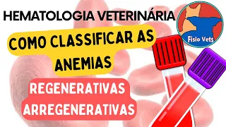 Hemograma | Classificação- anemias regenerativas e arregenerativas - Patologia clínica veterinária