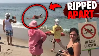 The HORRIFYING Last Minutes of Tyna Webb RIPPED APART By Great White Shark!