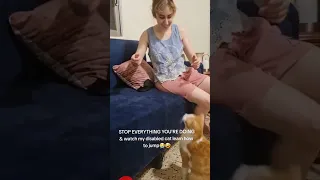 DISABLED CAT'S JUMP IS THE CUTEST THING EVER😭🤣 #shorts