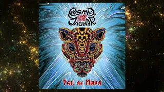 Cosmic Jaguar - Veil of Maya (Cynic cover)