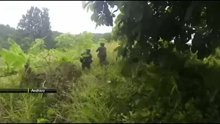 Cuatro uniformados del Ejército fueron asesinados en Bajo Cauca - Teleantioquia Noticias