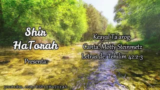 Keayal Taarog - Motty Steinmetz | Salmo 42:1-2 | Cantar de la Torah