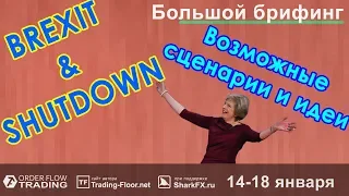 🌅 БОЛЬШОЙ брифинг | 14 января | 📈Прогноз рынка FOREX, FORTS, ФР