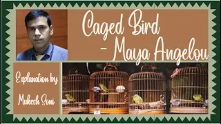 Caged Bird- Maya Angelou | Summary | Line to line explanation | BU/BNU | Generic English