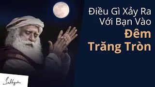 Điều Gì Xảy Ra Với Bạn Vào Ngày Trăng Tròn? | Sadhguru Tiếng Việt