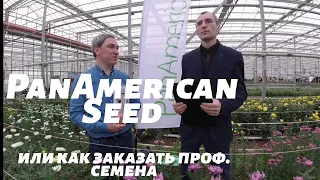 Как заказать проф. семена PanAmeriсan Seed. Интервью с представителем