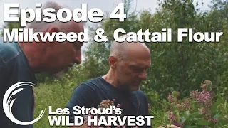 Survivorman | Les Stroud's Wild Harvest | Season 1 | Episode 4 | Milkweed & Cattail Flour