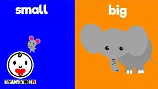 Learn Opposites | Big & Small | Simple learning video for babies, toddlers, kids