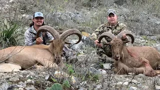 West Texas AOUDAD Hunt!! {Catch Clean Cook} Two GIANTS