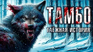 ТАМБО | Реальная Таёжная История