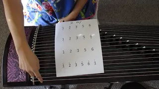 Guzheng Lesson: Basic Concept (Please read description)