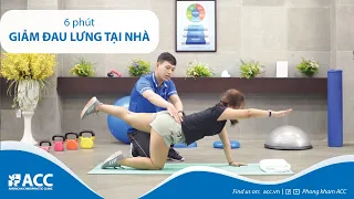 6 bài tập thể dục chữa đau lưng hiệu quả với 6 phút mỗi ngày | ACC