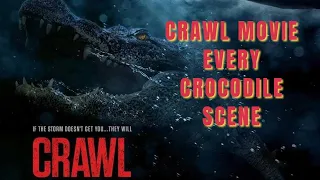 CRAWL (2019) Every Alligator Scene | Part-1 | Samdev Movieclips