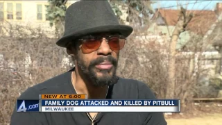 Milwaukee family concerned after small dog killed by neighbor's pit bull