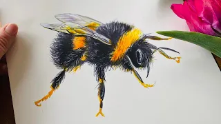 Handsome Bumble Bee Live Painting Tutorial