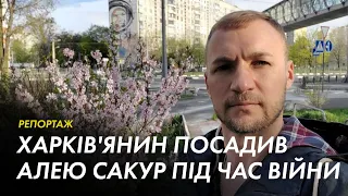 «Це моє місто»: харків'янин посадив алею сакур під час війни