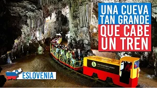 CUEVA DE POSTOJNA 🐉 Qué ver y hacer en ESLOVENIA 🛤️ 🇸🇮 Escuché Viajando