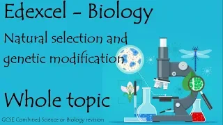 The whole of Edexcel NATURAL SELECTION. GCSE 9-1 biology or combined science revision