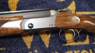 Blaser F16