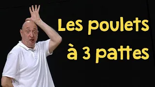 Les poulets à trois pattes