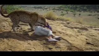 Leopard Attack Scene | Endangered Species 2021