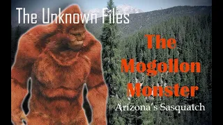 The Unknown Files: The Mogollon Monster