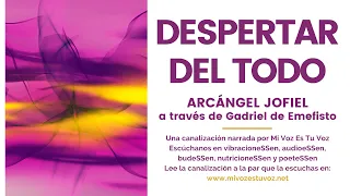 DESPERTAR DEL TODO | Un mensaje de Arcángel Jofiel a través de Gadriel de Emefisto