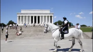 A Day in the Life: U.S. Park Police Mounted Unit Officer