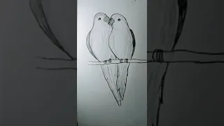 Parrot 🦜 Drawing || how to draw a parrot || easy parrot drawing for kids #shorts