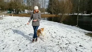 Dancing Dog Does Perfect 'Catwalk'