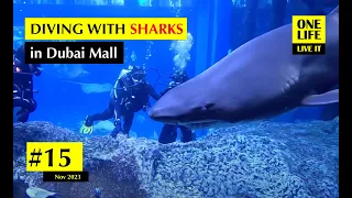 🇦🇪 Diving with SHARKS in Dubai |  One Life Live It