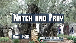 Thought for August 19th ' Watch and pray ' Mark 14:38