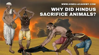 Why Did Hindus Sacrifice Animals?  #HinduAcademy