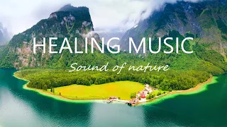 Healing Music Absolute Stress Relief, Stop Anxiety 🌍 Deep Sleep And Relax With Sounds Of The Forest