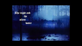 Opeth - The Night and the Silent Water [Acoustic Duo Cover]