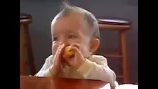 Как малыши реагируют на вкус лимона?