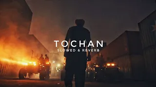 TOCHAN (SLOWED & REVERB) SIDHU MOOSE WALA