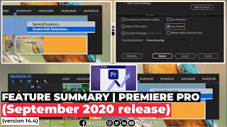 What's New in Adobe Premiere Pro | September 2020 release | version 14.4