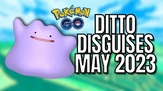 How to CATCH Ditto ALL DITTO disguises May 2023 Pokemon Go! Current ditto disguises MAY 2023