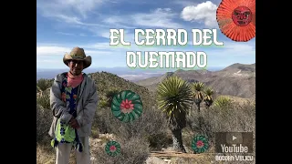 REAL DE CATORCE, la tierra del PEYOTE,  CERRO DEL QUEMADO,  WIRIKUTA los HUICHOLES y el DESIERTO. BV