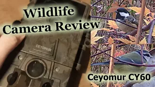 Ceyomur CY60 - Camera trap features with sample photographs and videos from a UK garden | Review