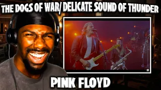 POWERFUL MESSAGE! | The Dogs Of War / Delicate Sounds Of Thunder - Pink Floyd (Reaction)