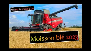 Moisson Blé 2023 : Massey Ferguson 7370 Beta avec un MF 7716 S  et un MF 7718 aux bennes