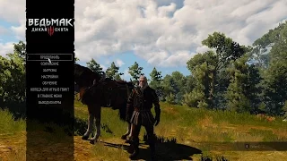 Witcher 3 Лысая Гора