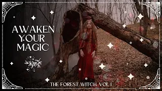 Awaken Your Inner Magic: Journey with the Enigmatic Forest Witch