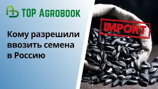 Кому разрешили ввозить семена в Россию | TOP Agrobook: обзор аграрных новостей