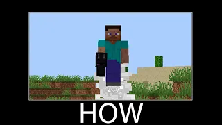 Minecraft wait what meme part 24 (jet hand)