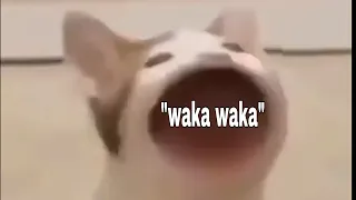 Pop cat goes waka waka!